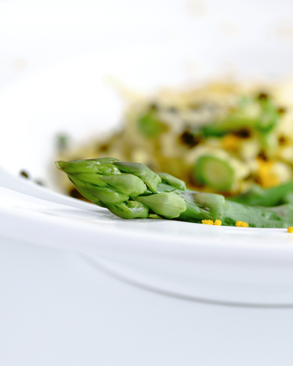 assiette -gastronomique-asperge-vete